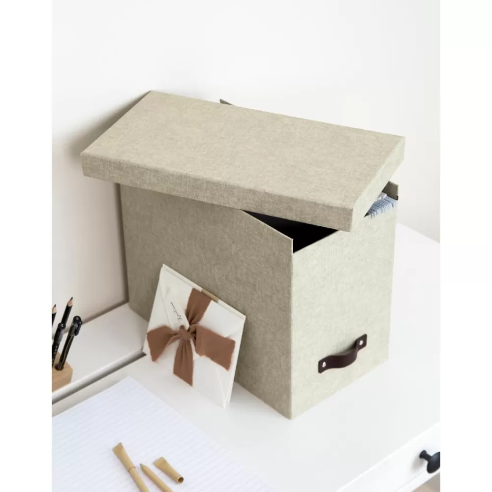 Bigso Box of Sweden Material De Oficina^Caja Organizadora Jahan Ii, Con 8 Separadores