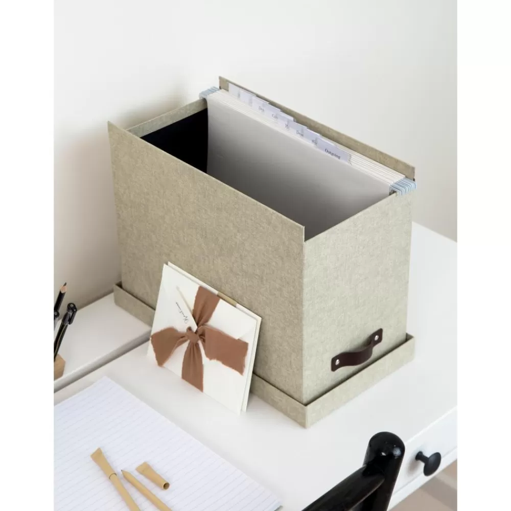 Bigso Box of Sweden Material De Oficina^Caja Organizadora Jahan Ii, Con 8 Separadores