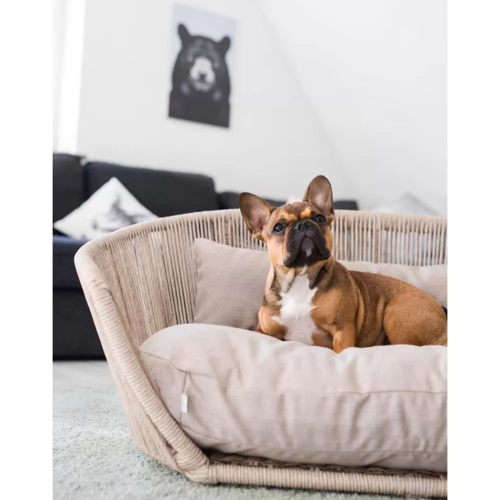 Laboni Accesorios Para Animales^Cama Para Mascotas De Interior/Exterior Vogue