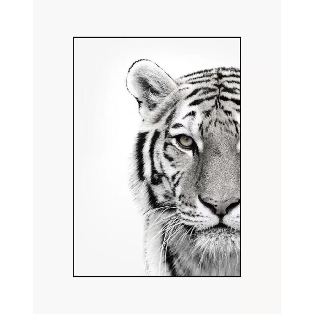 Malerifabrikken Cuadros Y Laminas Decorativas^Impresion Digital Enmarcada White Tiger