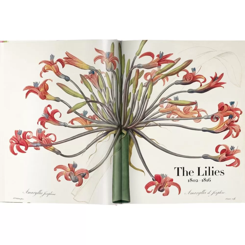 Taschen Verlag Libros Decorativos^Libro Ilustrado Book Of Flowers