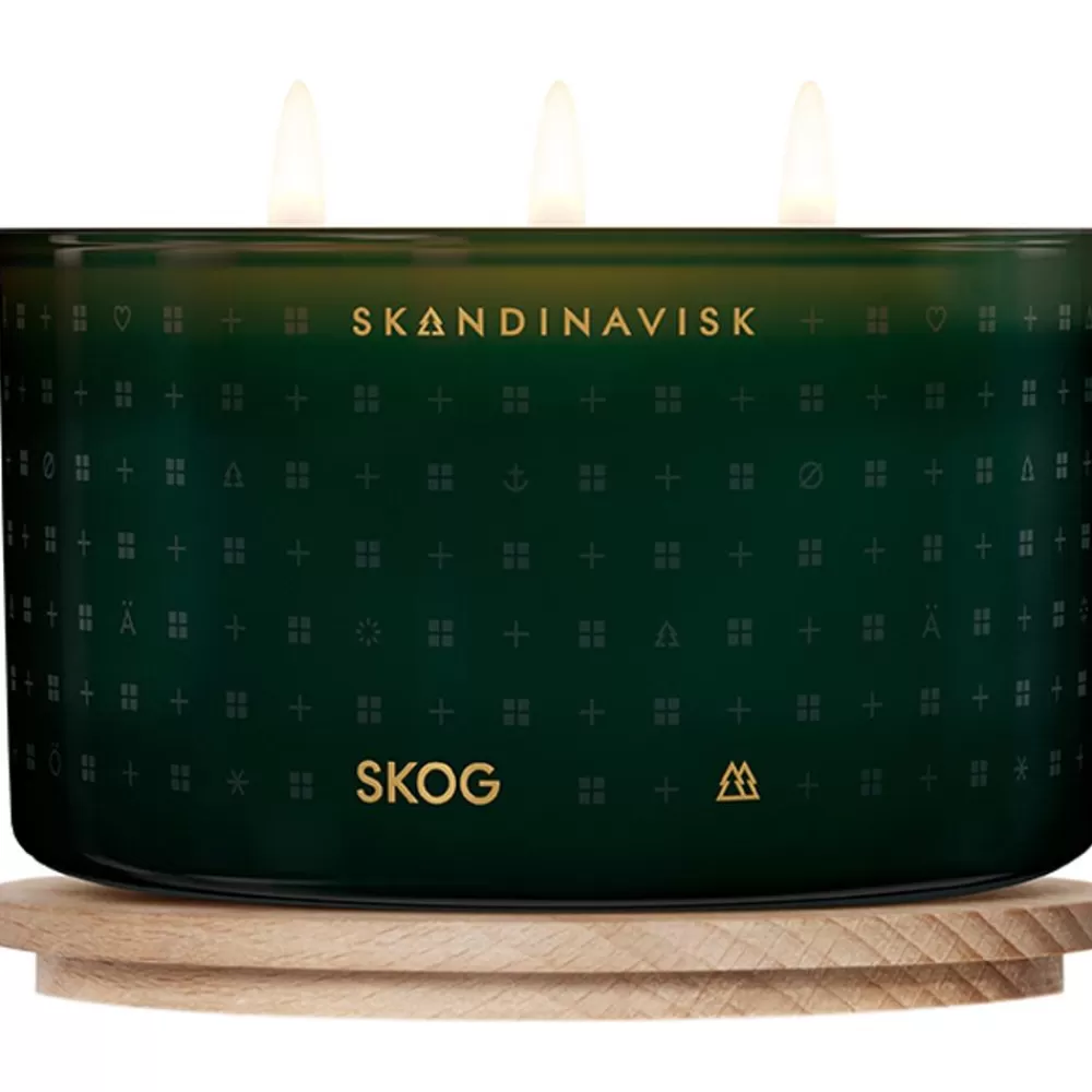 Skandinavisk Velas Perfumadas^Vela Perfumada Tres Mechas Skog (Pino, Pinas, Savia De Abedul)