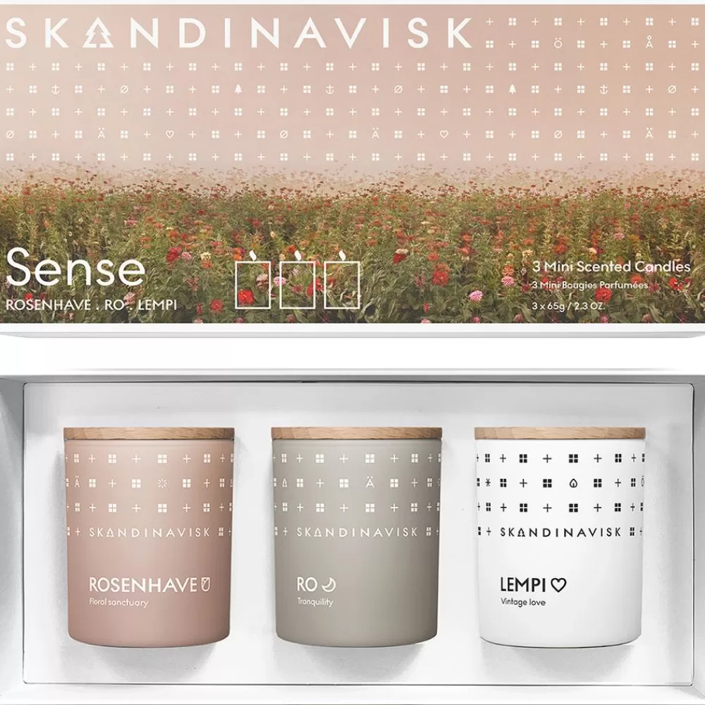 Skandinavisk Velas Perfumadas^Velas Perfumadas Sense, 3 Uds.